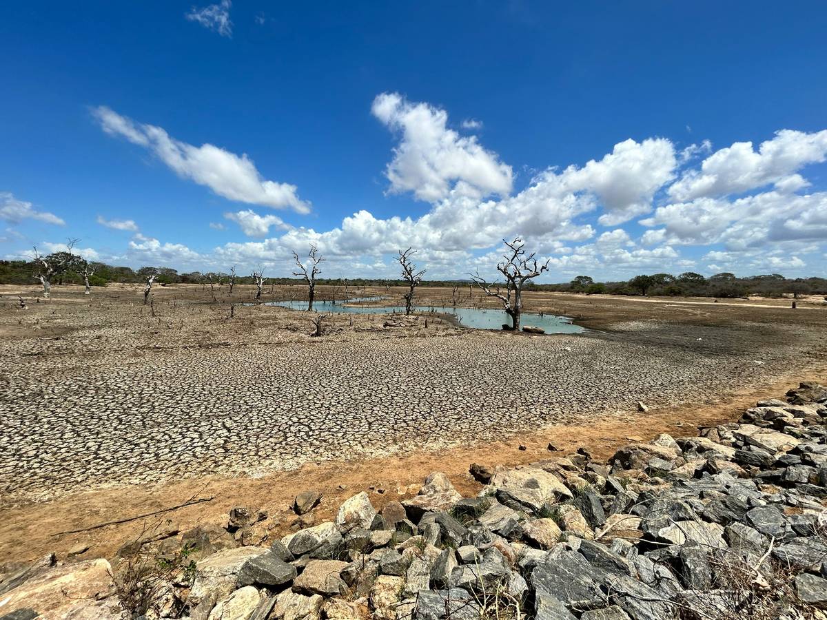 Dried up lake
